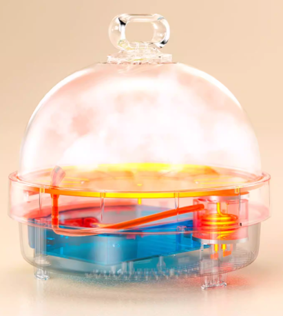 CLARA小巨蛋电蒸锅